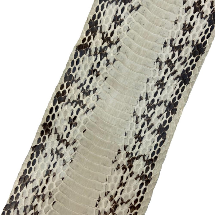 Elaphe Snake Skins