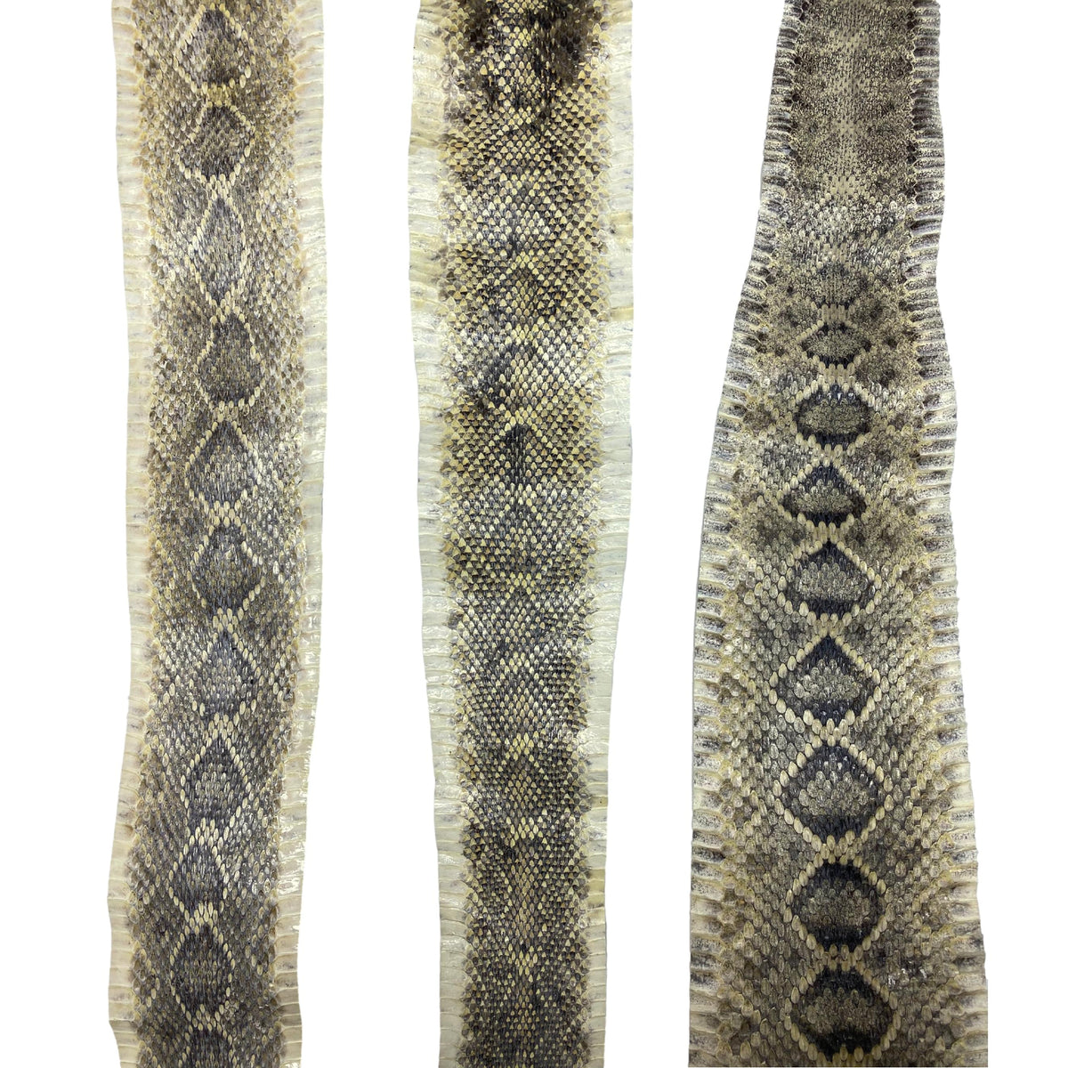 diamondback rattlesnake skin pattern