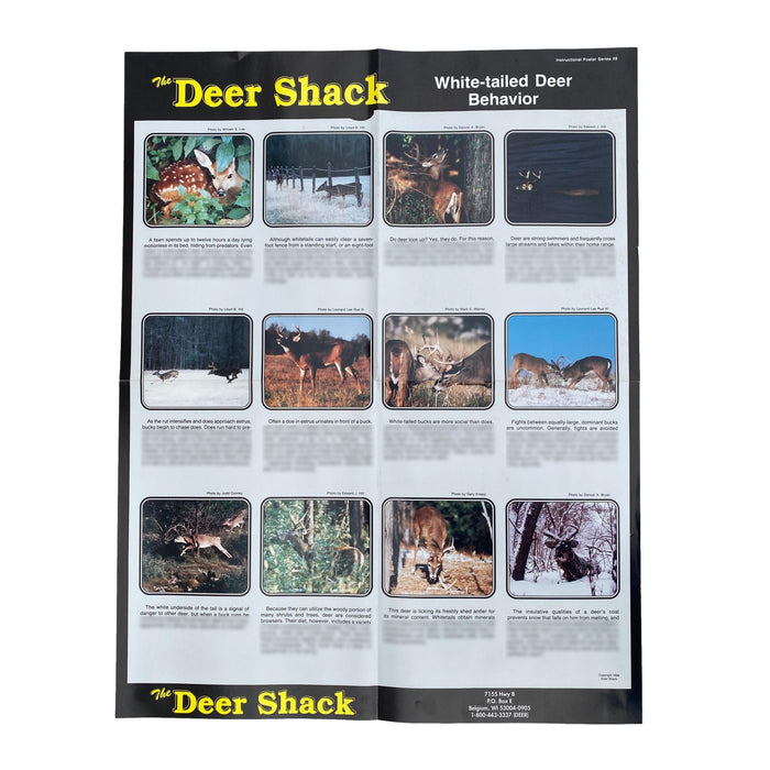 Whitetail Deer Behavior Guide Poster
