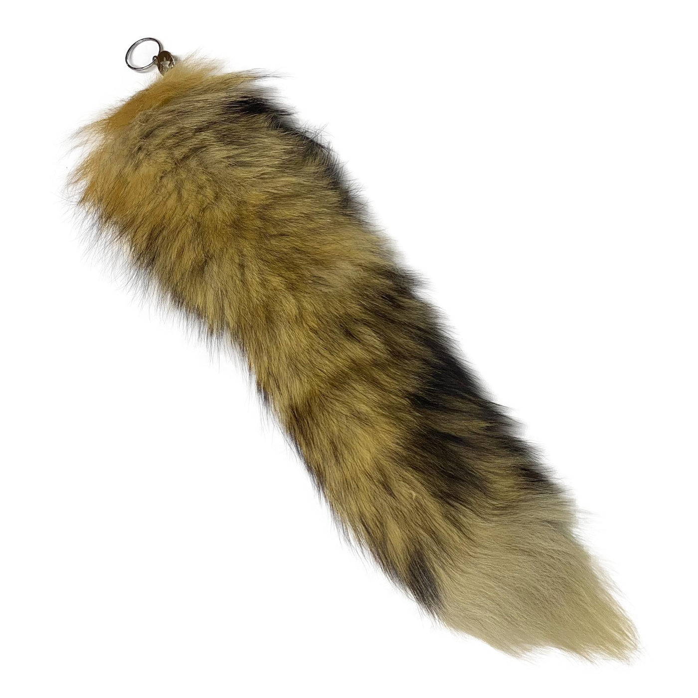 Authentic Coyote Tail - Genuine Fur Tail for Crafts and Costumes ...