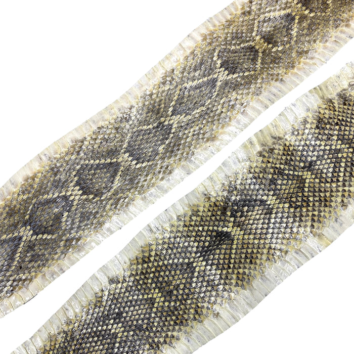 Eastern Rattlesnake Snake Skins - Diamondback Snakeskins